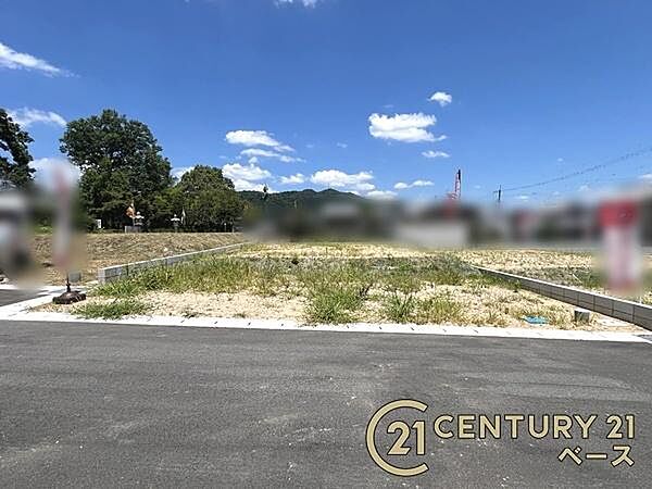 ■現地撮影写真■