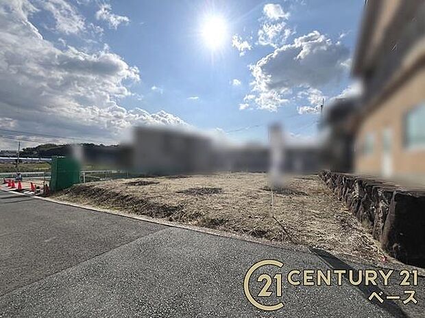 ■現地撮影写真■