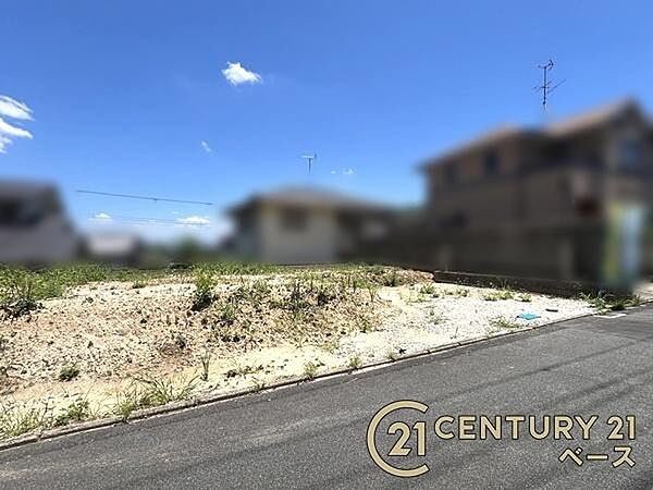 ■現地撮影写真■