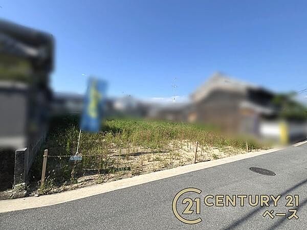 ■現地撮影写真■