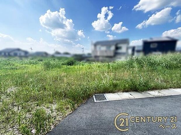 ■現地撮影写真■ 小・中学校ともに徒歩圏内で通学も安心です。