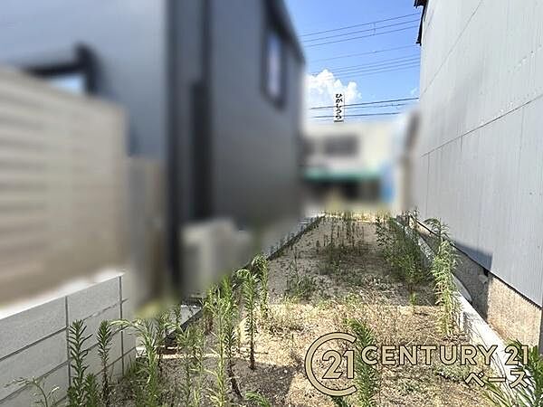 ■現地撮影写真■