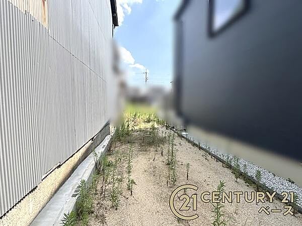 ■現地撮影写真■