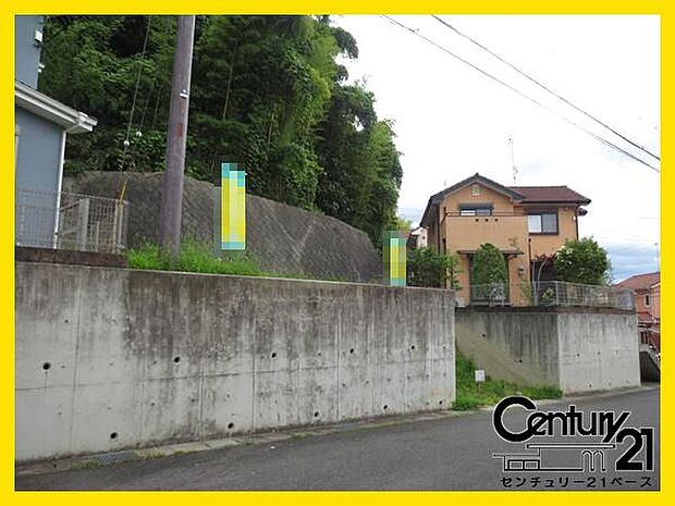 ■現地撮影写真■