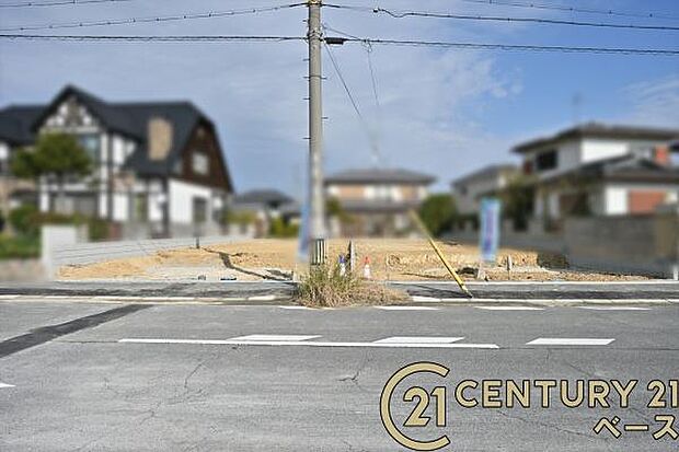 ■現地撮影写真■