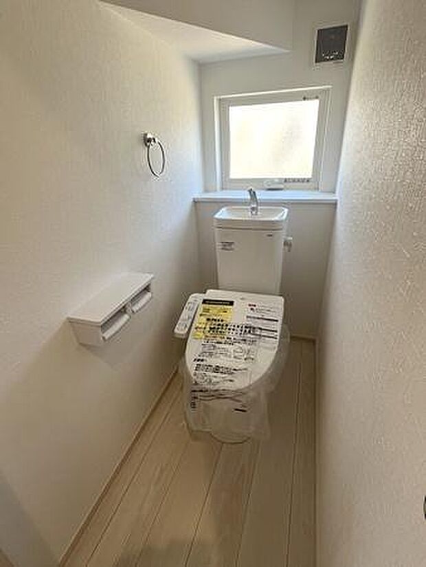 ■現地撮影写真■