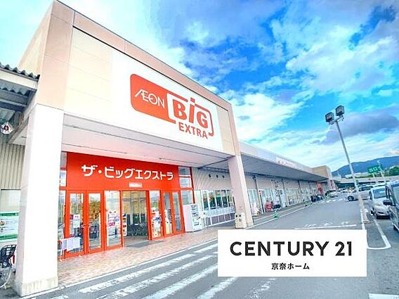 ザ・ビッグエク...