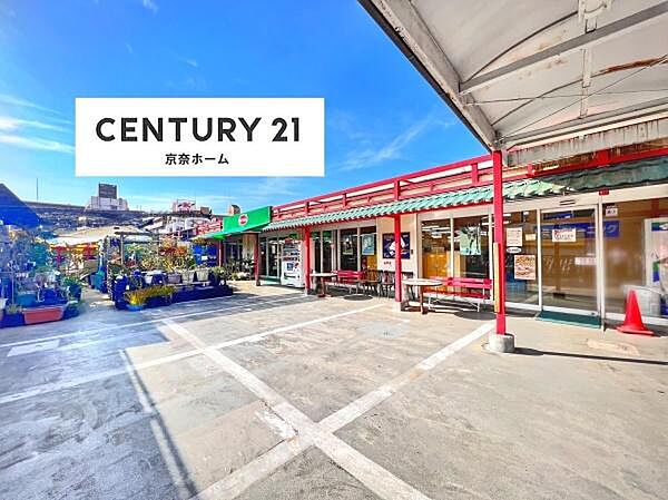 周辺を拡大表示