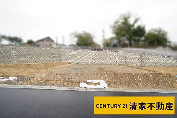 外観：321000078787