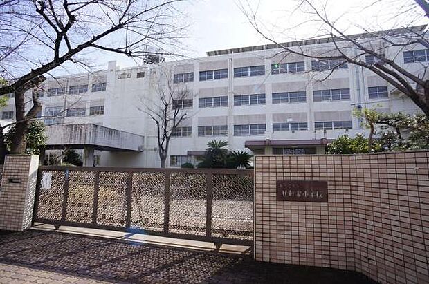 廿軒家小学校まで230m、廿軒家小学校まで230m(徒歩約3分)