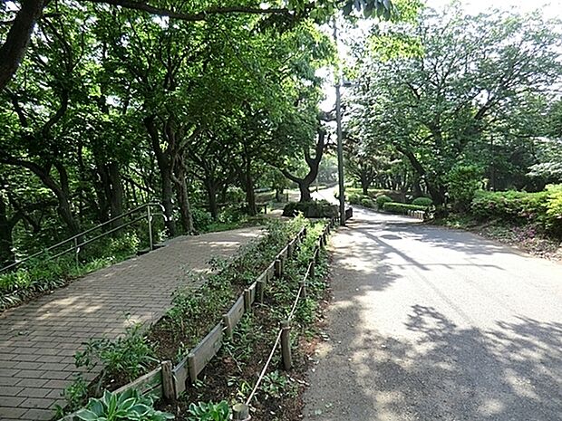 神之木公園まで692m、徒歩約9分です。町の高台にあり、みなとみらいの建物も見えます。眺めの良い自然あふれる公園です。