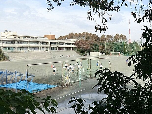 横浜市立寺尾中学校まで1485m、学校の環境がとても良く、校舎の隣は地域で一番大きな公園で自然豊かな環境。