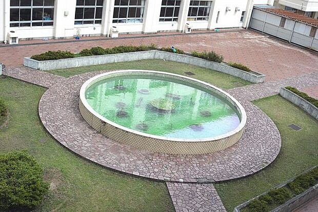 長浜市立神照小学校まで310m、神照小学校　学区域