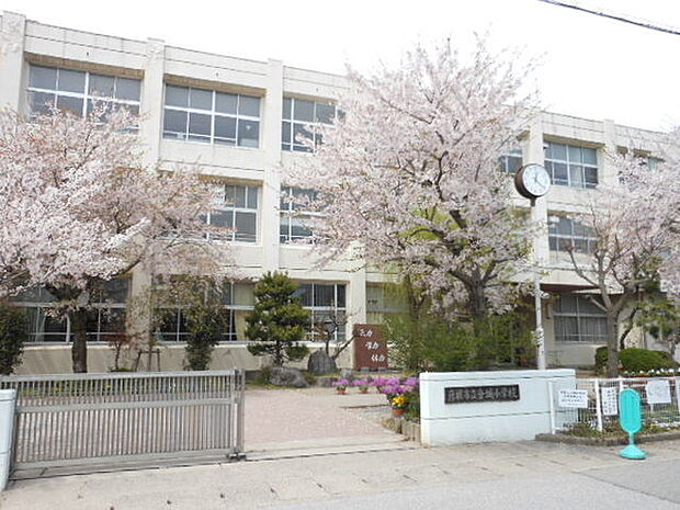 彦根市立金城小学校まで1549m