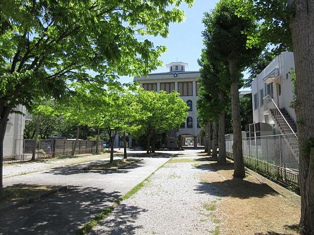長浜市立長浜小学校まで1124m