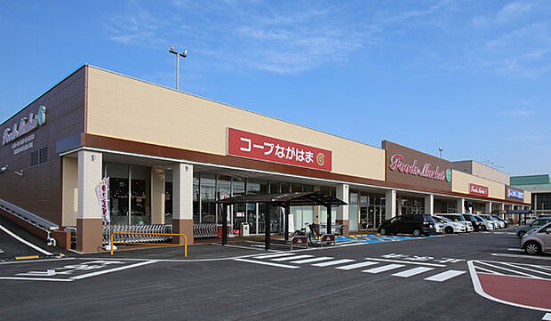 コープながはま店まで334m