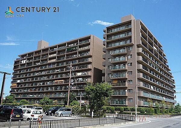 外観：325000073948