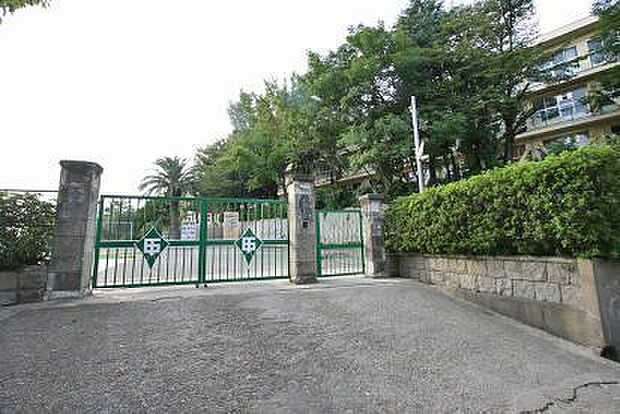 和泉市立石尾中学校まで617m