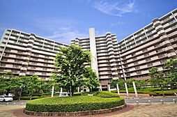 コート和泉府中セルカ　中古マンション