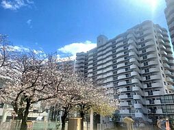 フェルティメイツ泉ヶ丘壱番館　中古マンション