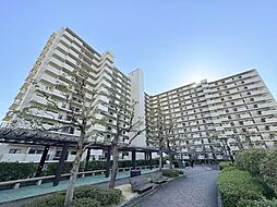 サンシティ貝塚3番館　中古マンション