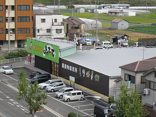 産直市場よってって泉佐野店まで536m