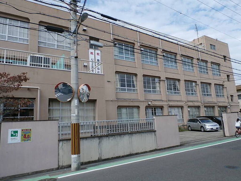 Image 7