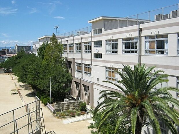 高石市立清高小学校まで596m