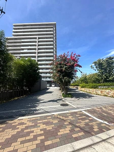 【現地】マンション前には整備された歩道が通っており出入りも安心です。交通量の少ない前道で過ごしやすい住環境。