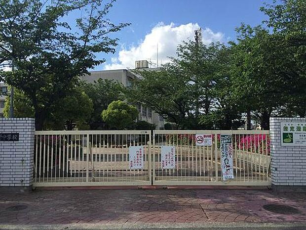 堺市立津久野中学校まで700m