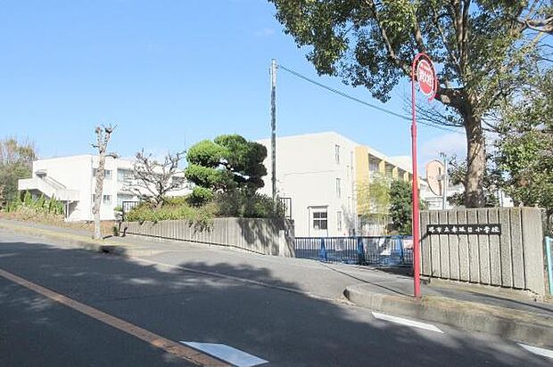 堺市立赤坂台小学校まで1100m