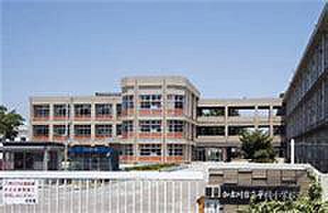 堺市立平岡小学校まで300m