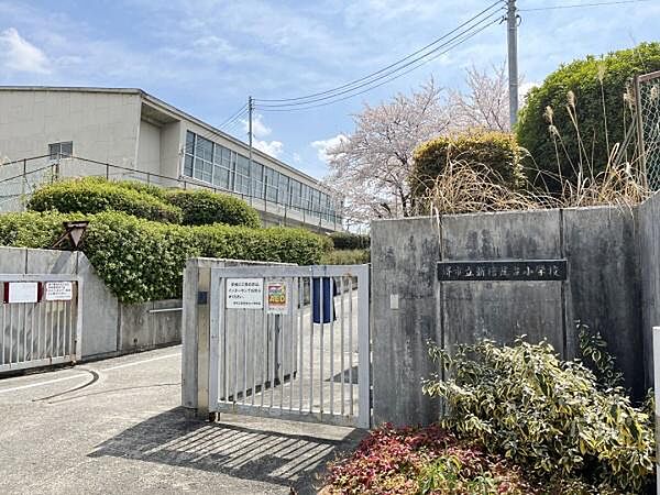 堺市立新檜尾台小学校まで800m