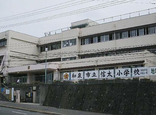 和泉市立信太小学校まで810m