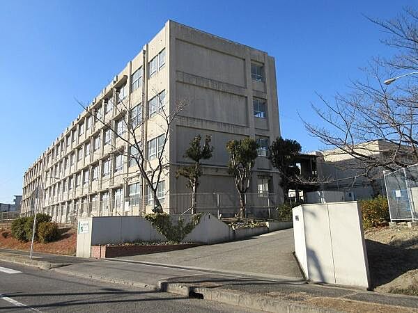 堺市立晴美台中学校まで1500m