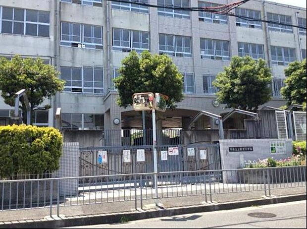 堺市立上野芝小学校まで700m