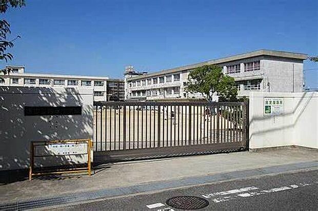 堺市立向丘小学校まで950m
