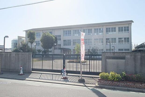 堺市立白鷺小学校まで700m