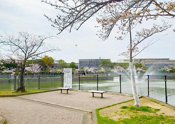 大池公園まで1300m