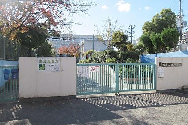 堺市立鳳中学校まで50m