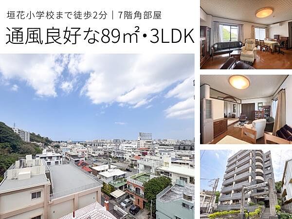 外観：347000076625