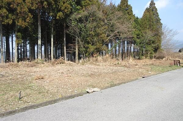 外観：325000100256