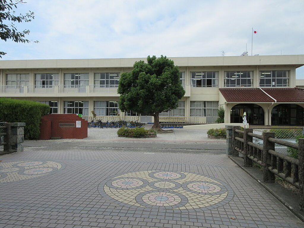 Image 5
