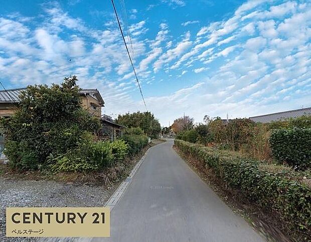 お散歩にぴったりなのどかな雰囲気です！