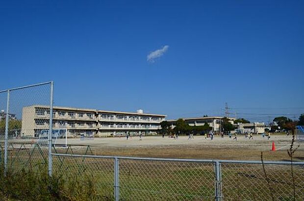 市原市立若葉小学校まで1090m