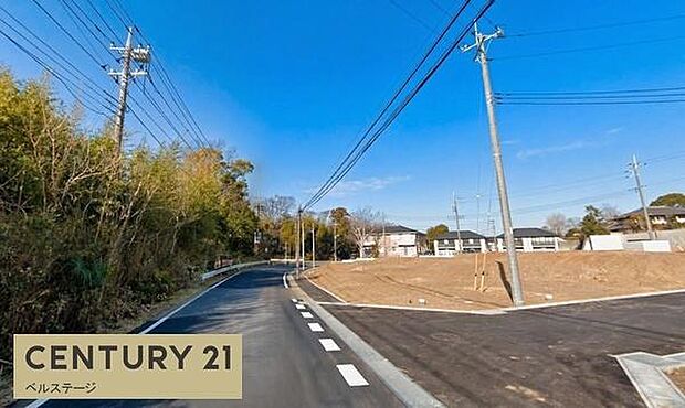 お散歩にぴったりなのどかな雰囲気です!