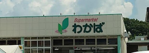 スーパーわかばまで493m