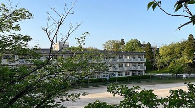 市原市立白幡小学校まで1421m