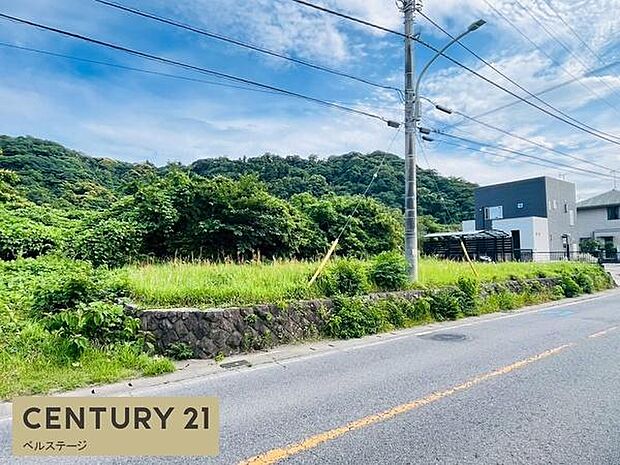 明るい陽射しが射し込みます！