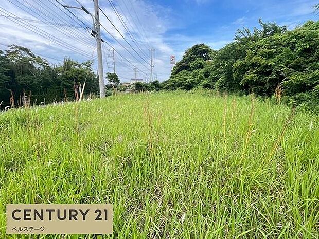 日当たり良好でポカポカです！